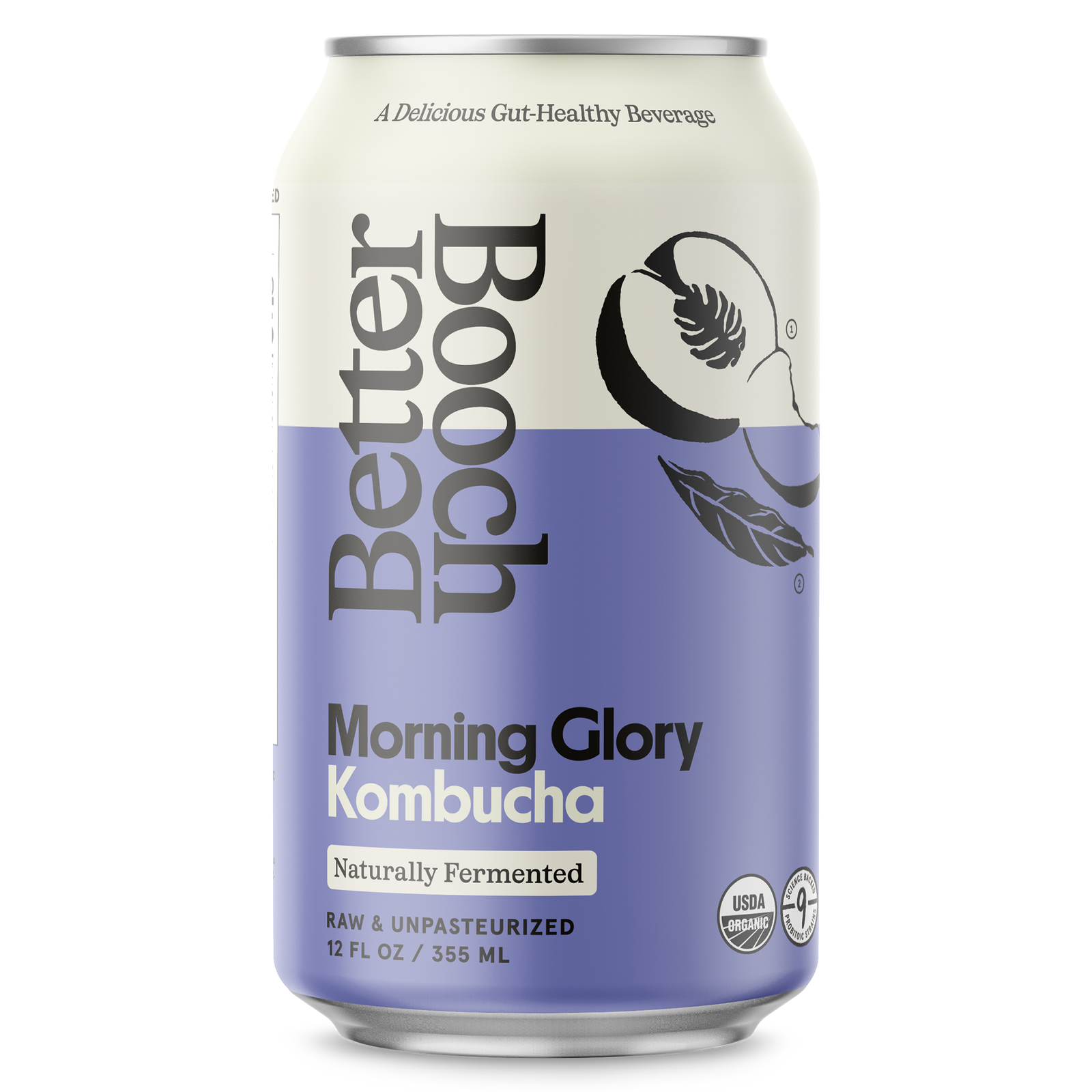 Morning Glory