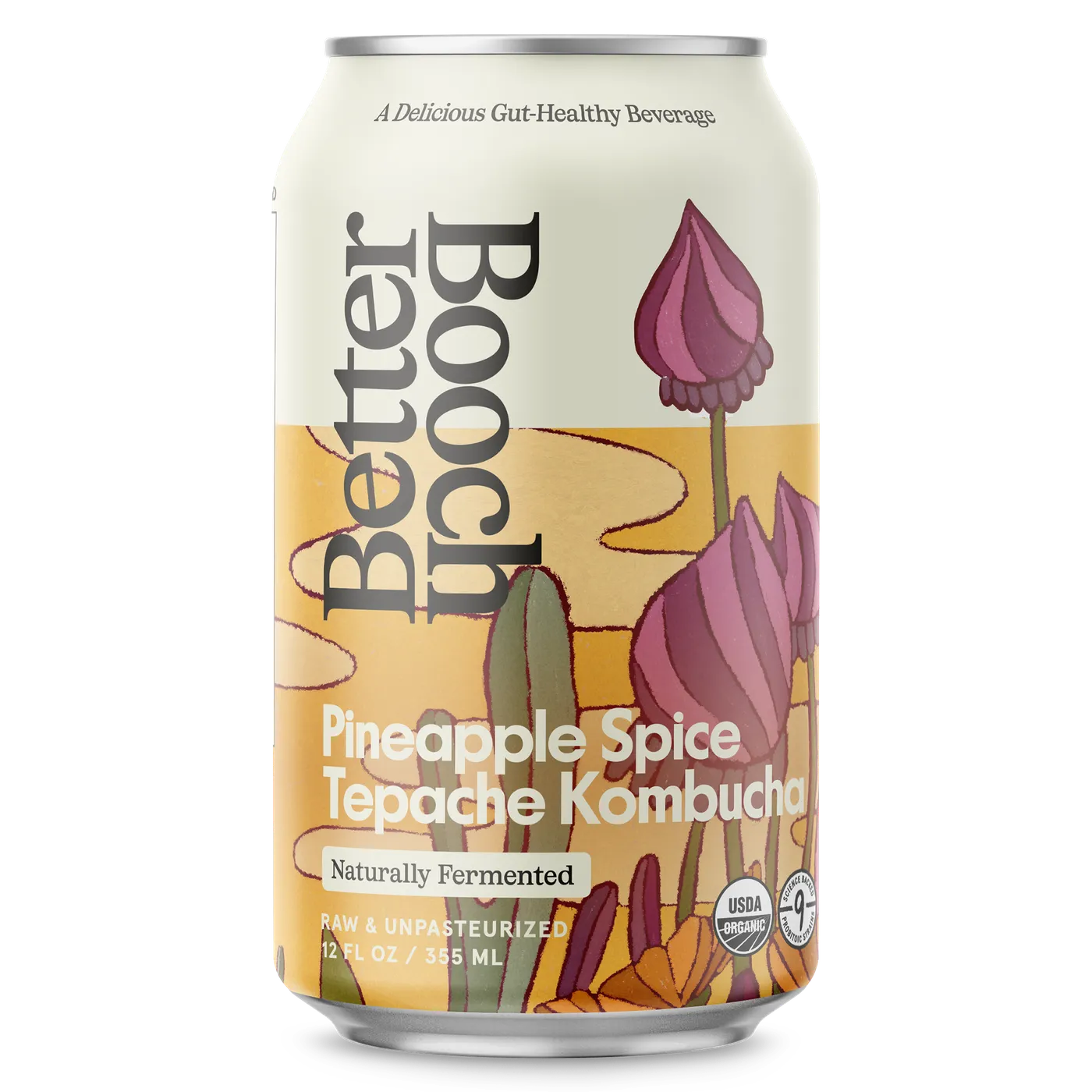 Pineapple Spice Tepache (12oz Can - 12 Pack)